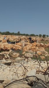 تصعيد استيطاني متزامن في الضفة: اقتحامات واعتداءات ومخططات مصادرة أراضٍ تطال عدة مناطق