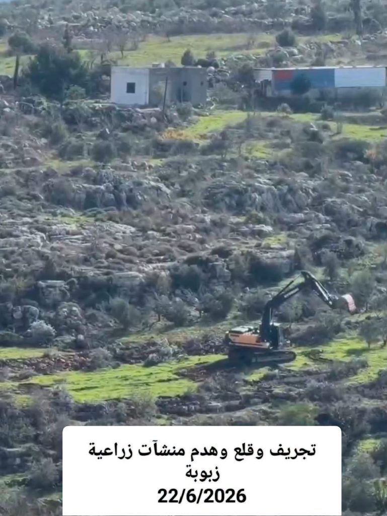 وزارة الزراعة الفلسطينية تكشف بالأرقام حجم خسائر القطاع الزراعي جراء الانتهاكات