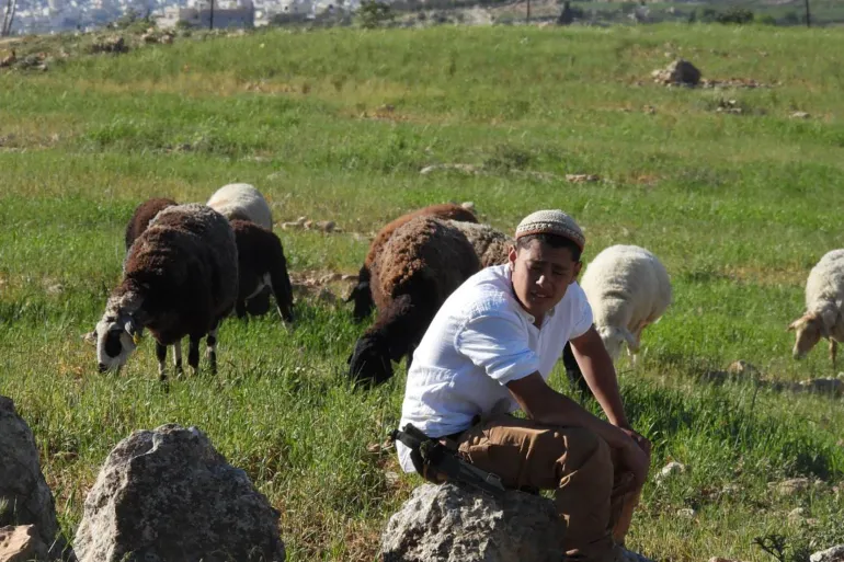 مستوطنون يهاجمون المغير شرق رام الله ويتلفون أراضٍ زراعية