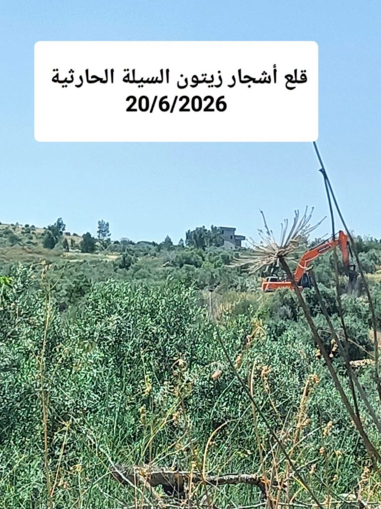 وزارة الزراعة الفلسطينية تكشف بالأرقام حجم خسائر القطاع الزراعي جراء الانتهاكات
