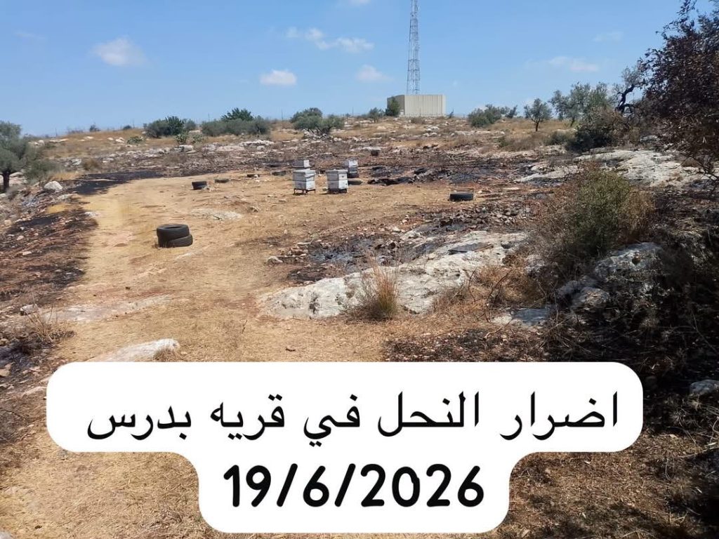 وزارة الزراعة الفلسطينية تكشف بالأرقام حجم خسائر القطاع الزراعي جراء الانتهاكات