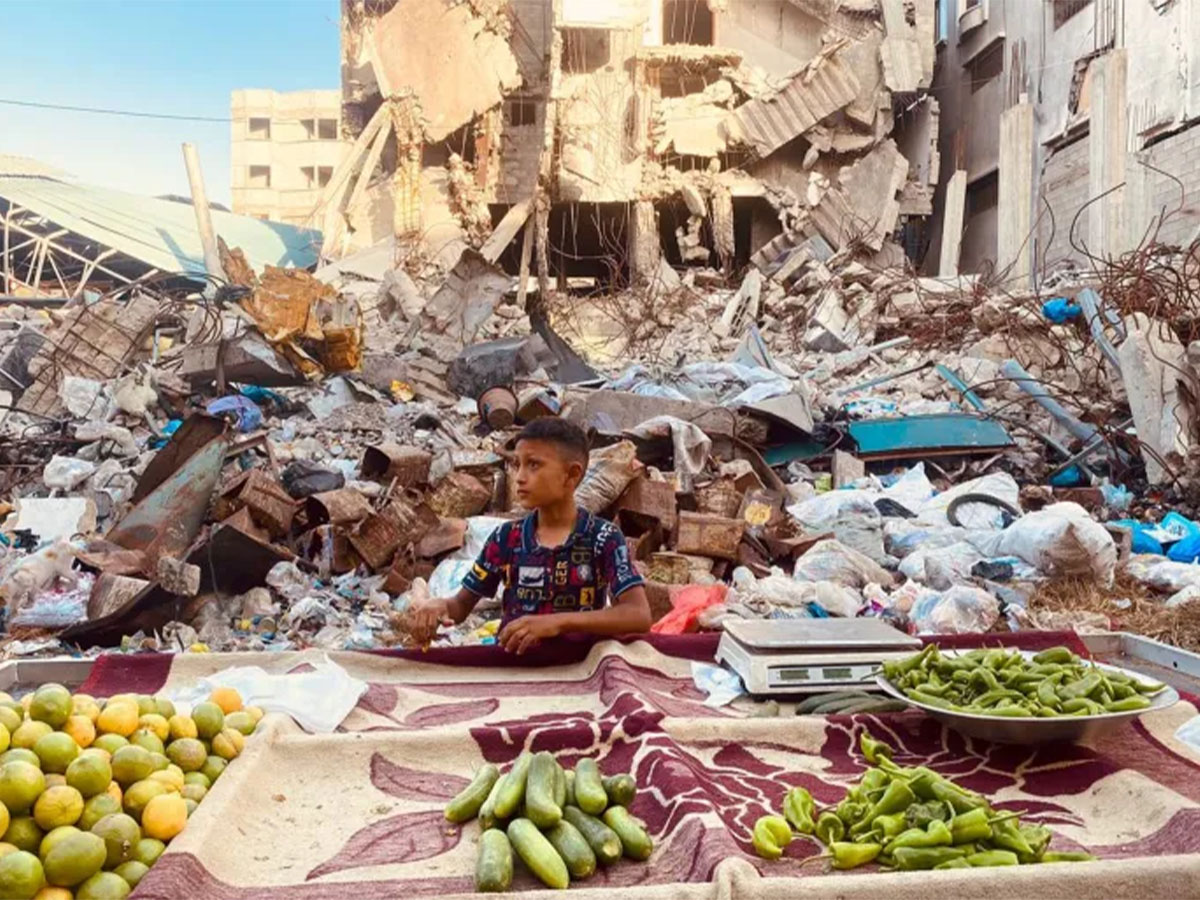 خسائر حادة تضرب سوق التأمين في فلسطين وتراجع المحفظة المالية في غزة