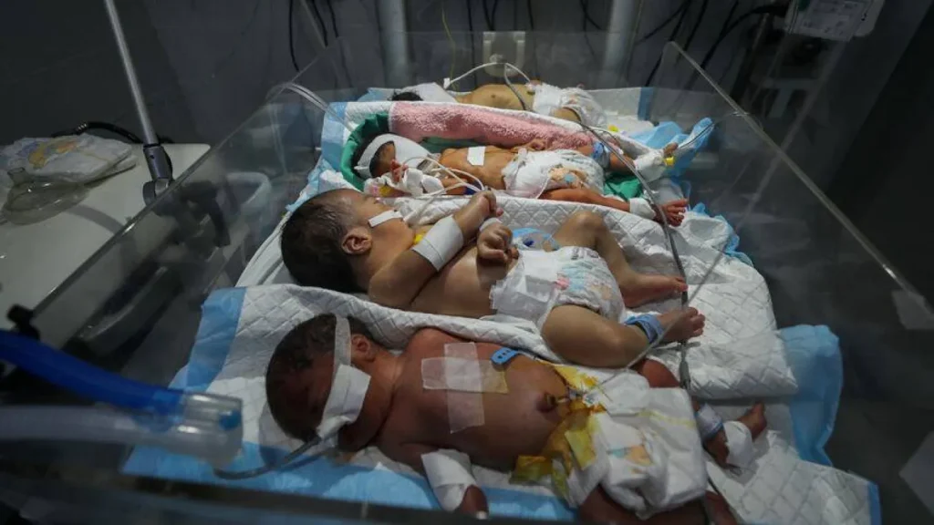 الإدارة العامة للأحوال المدنية بغزة تصدر إحصائية المواليد والوفيات لشهـر يونيو