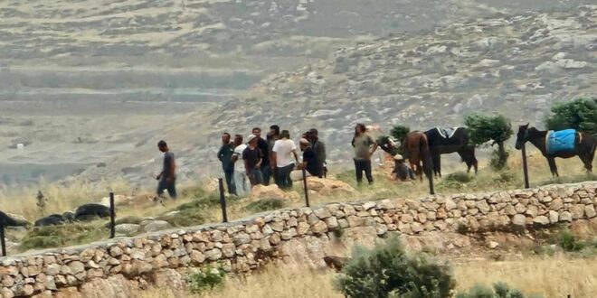 مستوطنون يشرعون بتسييج أراضٍ جنوب بيت لحم